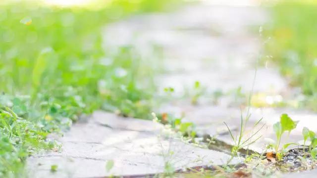 越窮越不要著急掙錢，先做好這三件事你才能越來越好，很現實！