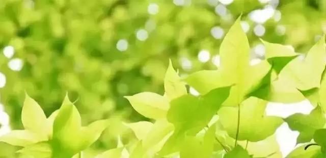 最簡單的長壽口訣！每個人都該背下來