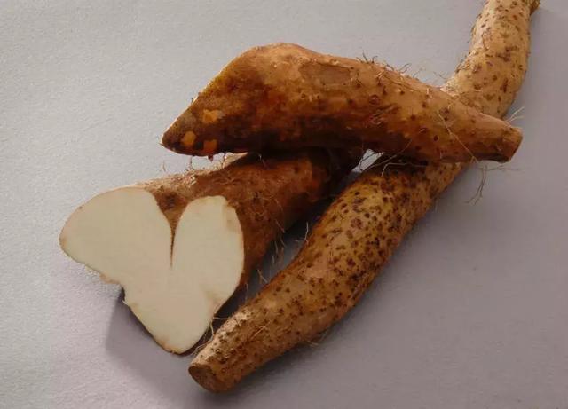 秋季第一補、第一菜、第一粥原來是它們！天天都能吃，家家都有