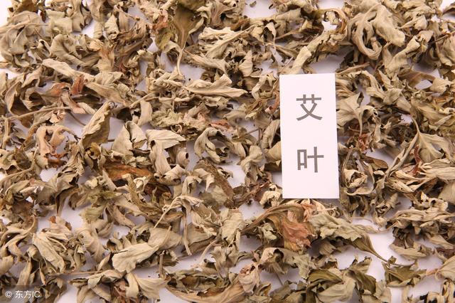 用艾葉煮水來洗頭，具有3大功效，很多人卻當垃圾扔了 