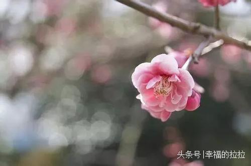 所有的遇見，都是一種償還
