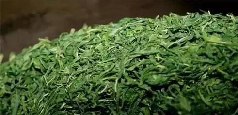 耳後一個窩，每天堅持按10秒，降糖調氣血，有效預防併發症！