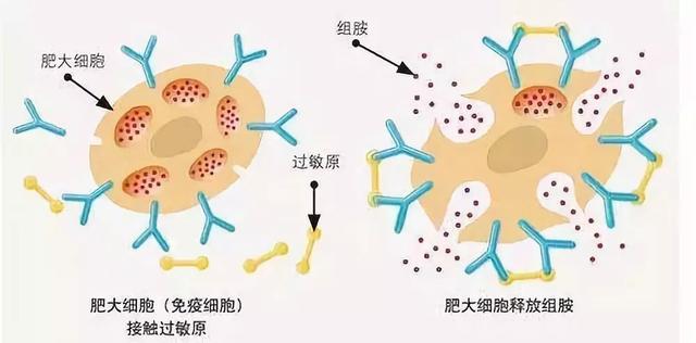 這名醫生逃過一劫，5歲女孩卻沒了命……這個教訓每個人都值得看