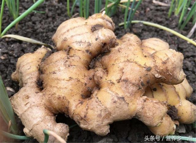 生薑和它泡水喝，等於跑步1小時，濕毒不見了，小肚子平坦了