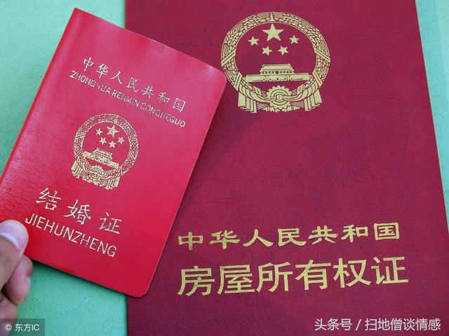 婆婆，不錯我是個孤兒，但你不要看不起我，不跟你兒子過我也能活