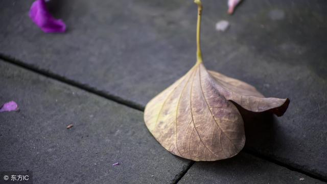 離婚後孩子想吃媽媽做的飯，我帶他去岳母家，開門後我說不出話