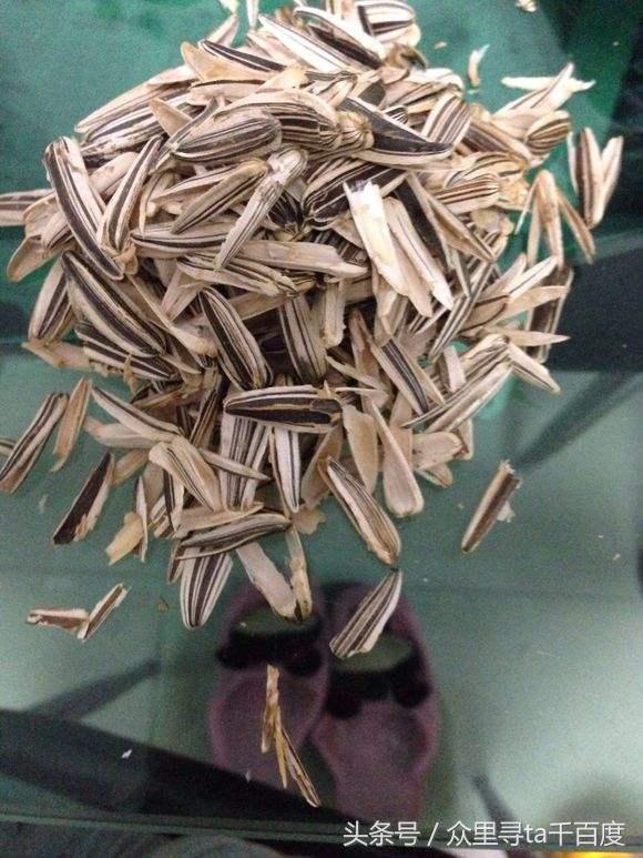 房子是我爸媽給我買的，你們都住進來，我成了外人！