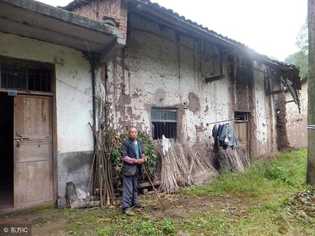 老父親帶回一傻小子要養，偶然看到一張照片，才知他身份並不一般