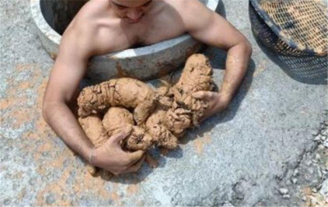 如果一個男人願意把愛給小動物，那他一定不可能是渣男