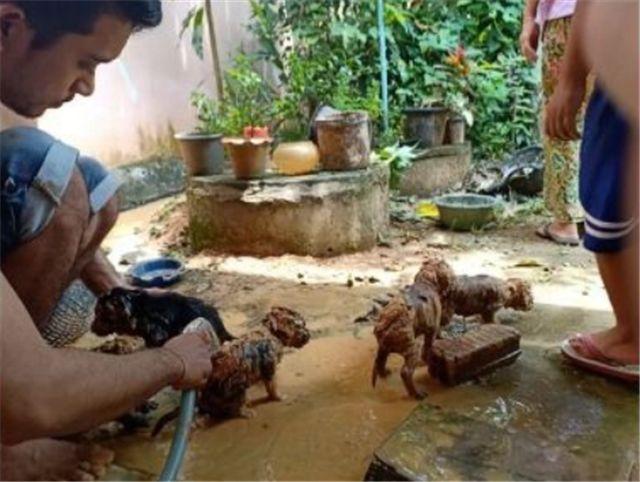 如果一個男人願意把愛給小動物，那他一定不可能是渣男