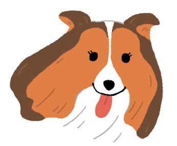 關於狗狗耳朵你不知道的那些事：正確清理耳朵就是如此重要