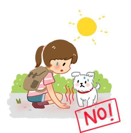 6種最傷狗的遛狗方式：80%的養狗人都正在這樣做……