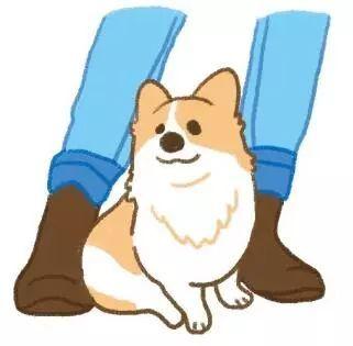 狗咬你不是沒道理：盤點最招狗討厭的幾個行為