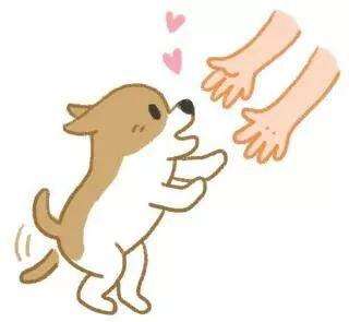 狗咬你不是沒道理：盤點最招狗討厭的幾個行為