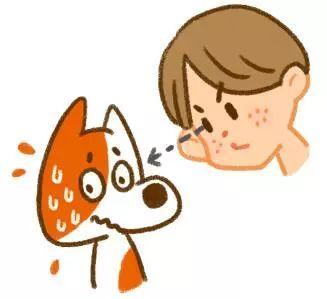 狗咬你不是沒道理：盤點最招狗討厭的幾個行為