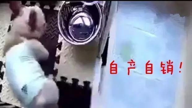 你不在家的時候狗子都在幹嘛？看到最後我決定早點回家