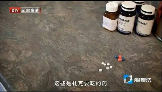 一隻每天吃18種藥物，發病時痛到打滾的狗，主人說都是好看惹的禍