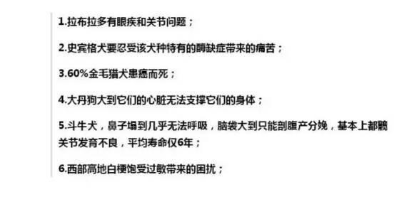 一隻每天吃18種藥物，發病時痛到打滾的狗，主人說都是好看惹的禍