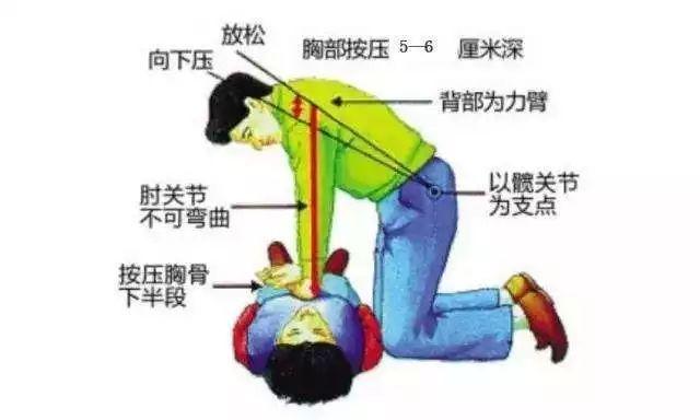養狗人必知的一個動作，在關鍵時刻能救狗狗性命的動作