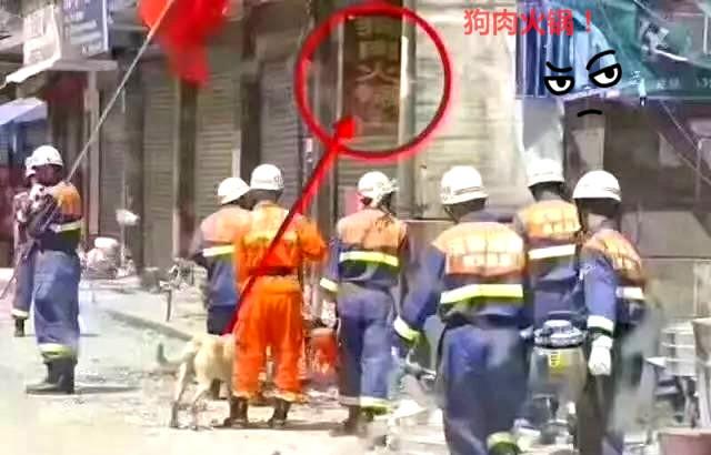 搜救犬為救孩子，被壓死在石板下，訓練員緊緊抱住泣不成聲