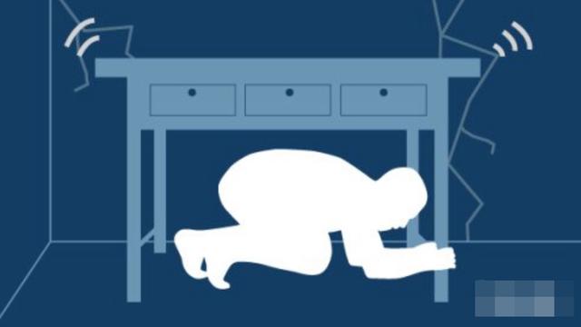 搜救犬為救孩子，被壓死在石板下，訓練員緊緊抱住泣不成聲