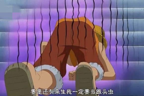海賊王中能讓草帽一夥四大戰力下跪的人，娜美並不是唯一的一個！