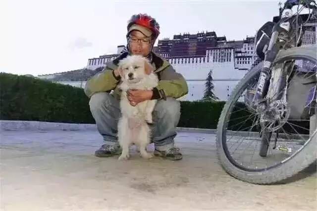 當年那隻跑完川藏線的小狗，如今也一直走在路上