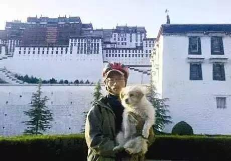 當年那隻跑完川藏線的小狗，如今也一直走在路上