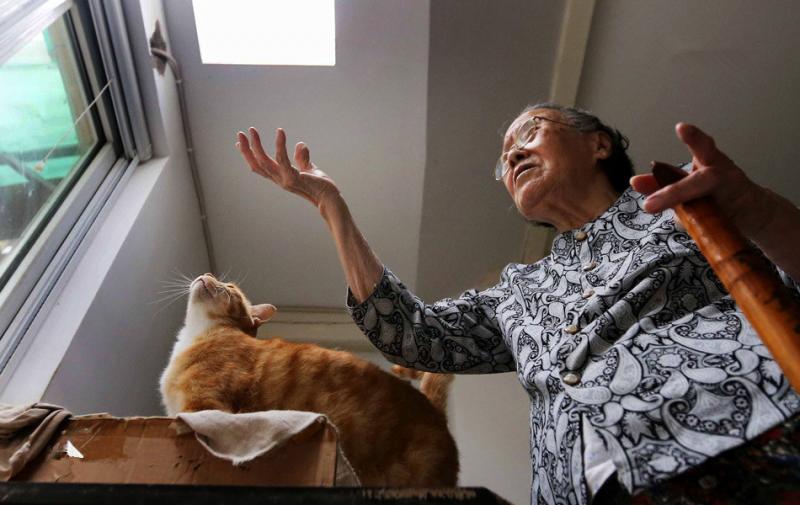 87歲阿嬤「收留200隻浪喵」不後悔！　靠退休金硬撐：它們都是我的孩子...