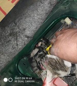 流浪貓鑽進車裡不出來，夫妻倆推了三公里求援