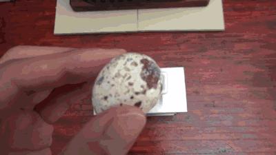 小哥哥還原宮崎駿動畫里的袖珍美食，270 萬粉絲看得直流口水！