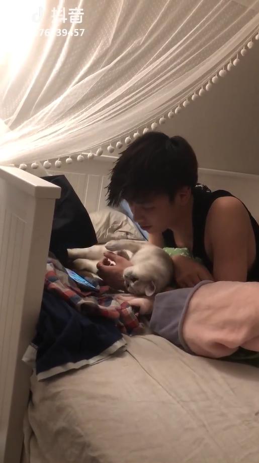 別看手機啦～貓貓窩手手強力撒嬌　男友「低頭溫柔親吻」女友淚：對我都沒這麼好QQ