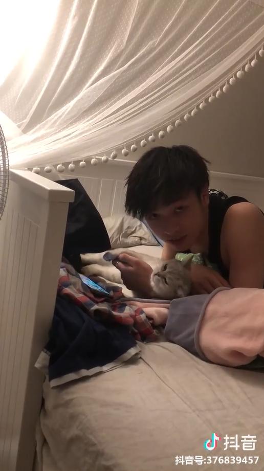 別看手機啦～貓貓窩手手強力撒嬌　男友「低頭溫柔親吻」女友淚：對我都沒這麼好QQ