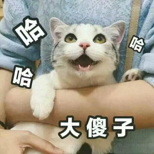 史上最全孕傻合輯！溫馨提示：觀看中請勿喝水進食！