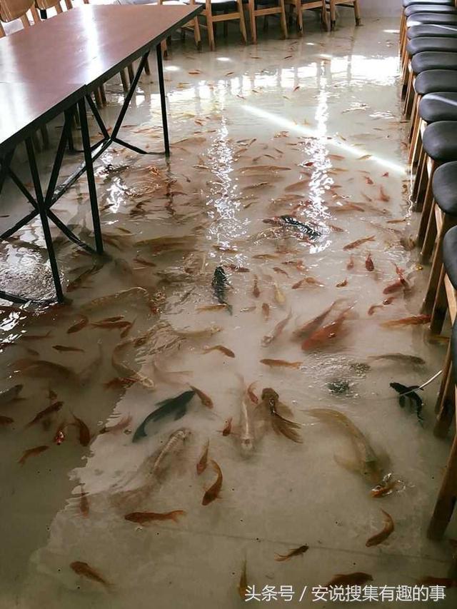 請注意不要踩到魚！越南獨特的水族館餐廳