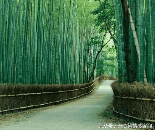 心理測試：4條路，你會選擇哪條？秒測你們的異地戀可以堅持多久 
