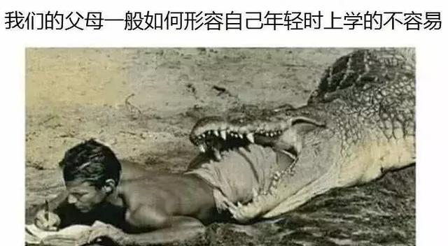 89 歲戲精奶奶爆紅！靠「碰瓷」吸粉 12 萬，太可愛啦！