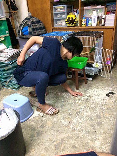 上班別看 超爆笑「母親趕鳥」合成圖 創意沒極限