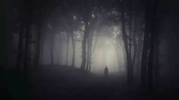 千萬別在樹林玩「手電筒遊戲」！！因為黑暗中你不知道到底還有誰...