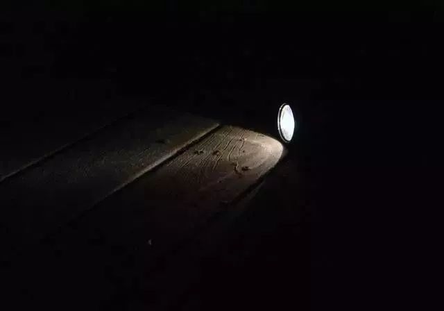 千萬別在樹林玩「手電筒遊戲」！！因為黑暗中你不知道到底還有誰...