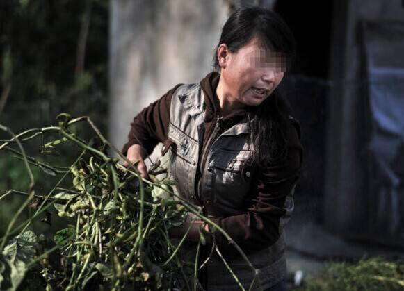 母親讓我嫁給有錢傻子，抗拒3年後無奈答應，訂婚宴上我覺得賺了
