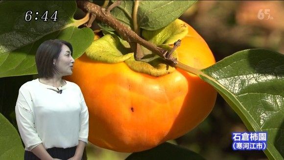天氣預報主播太H！一個側身… 看到啦「熟女の形狀」聳立 網:絕對是故意(25P