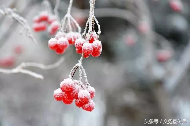 悟透人生的短句：一句頂一萬句，讓人瞬間清醒！（值得收藏）
