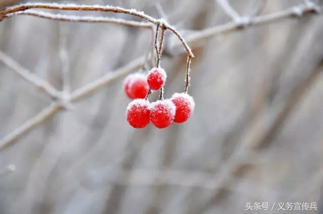 悟透人生的短句：一句頂一萬句，讓人瞬間清醒！（值得收藏）