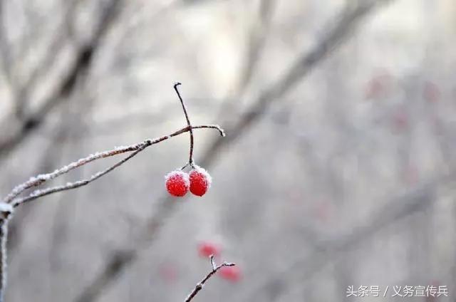 悟透人生的短句：一句頂一萬句，讓人瞬間清醒！（值得收藏）
