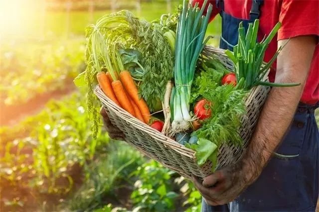 「十大最難吃蔬菜」！可個個營養價值很高怎麼辦？尤其是第二名
