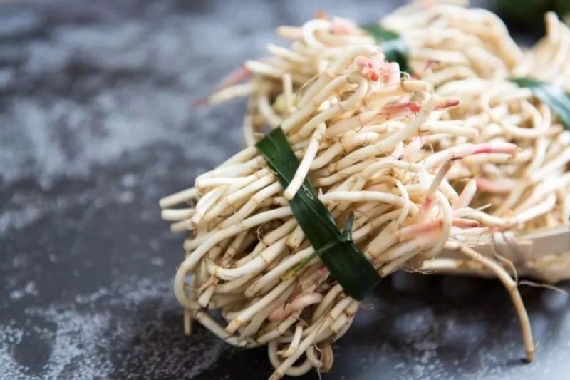 「十大最難吃蔬菜」！可個個營養價值很高怎麼辦？尤其是第二名