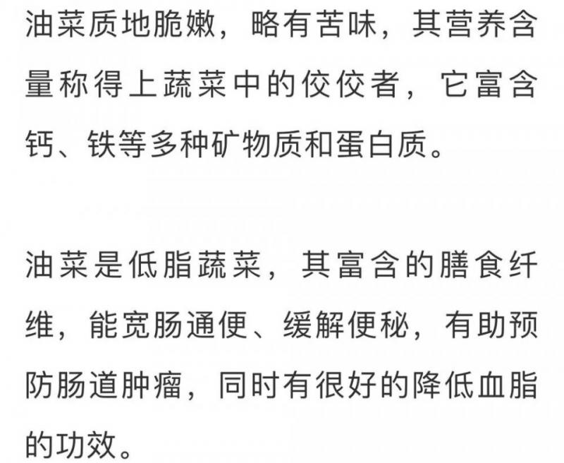 「十大最難吃蔬菜」！可個個營養價值很高怎麼辦？尤其是第二名