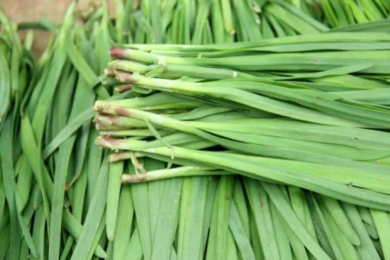 「十大最難吃蔬菜」！可個個營養價值很高怎麼辦？尤其是第二名
