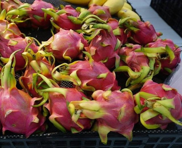 火龍果「紅心」和「白心」有什麼區別？不懂你的火龍果白吃了